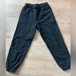 Aritzia Cozy AF Fleece Pants